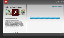 Deaktivieren Sie den Flash Player im Opera-Browser